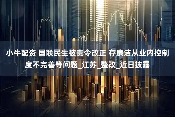 小牛配资 国联民生被责令改正 存廉洁从业内控制度不完善等问题_江苏_整改_近日披露